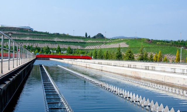 Jiangxi Wanzai Water Plant