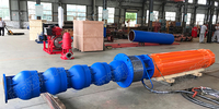 Finish Assembly of 6KV High Voltage Submersible Deep Well Pump