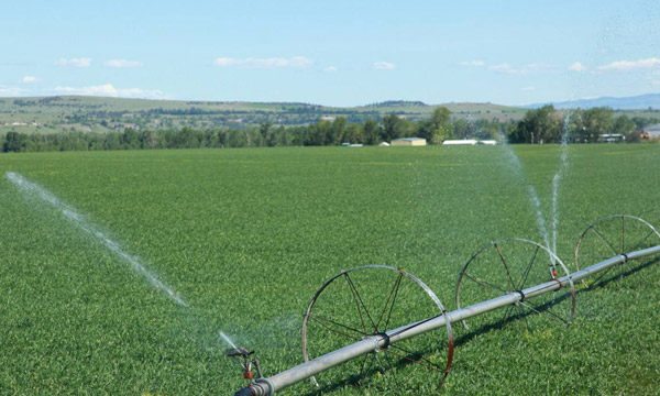 Agricultural and Irrigation