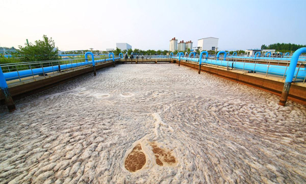 Environmental Protection