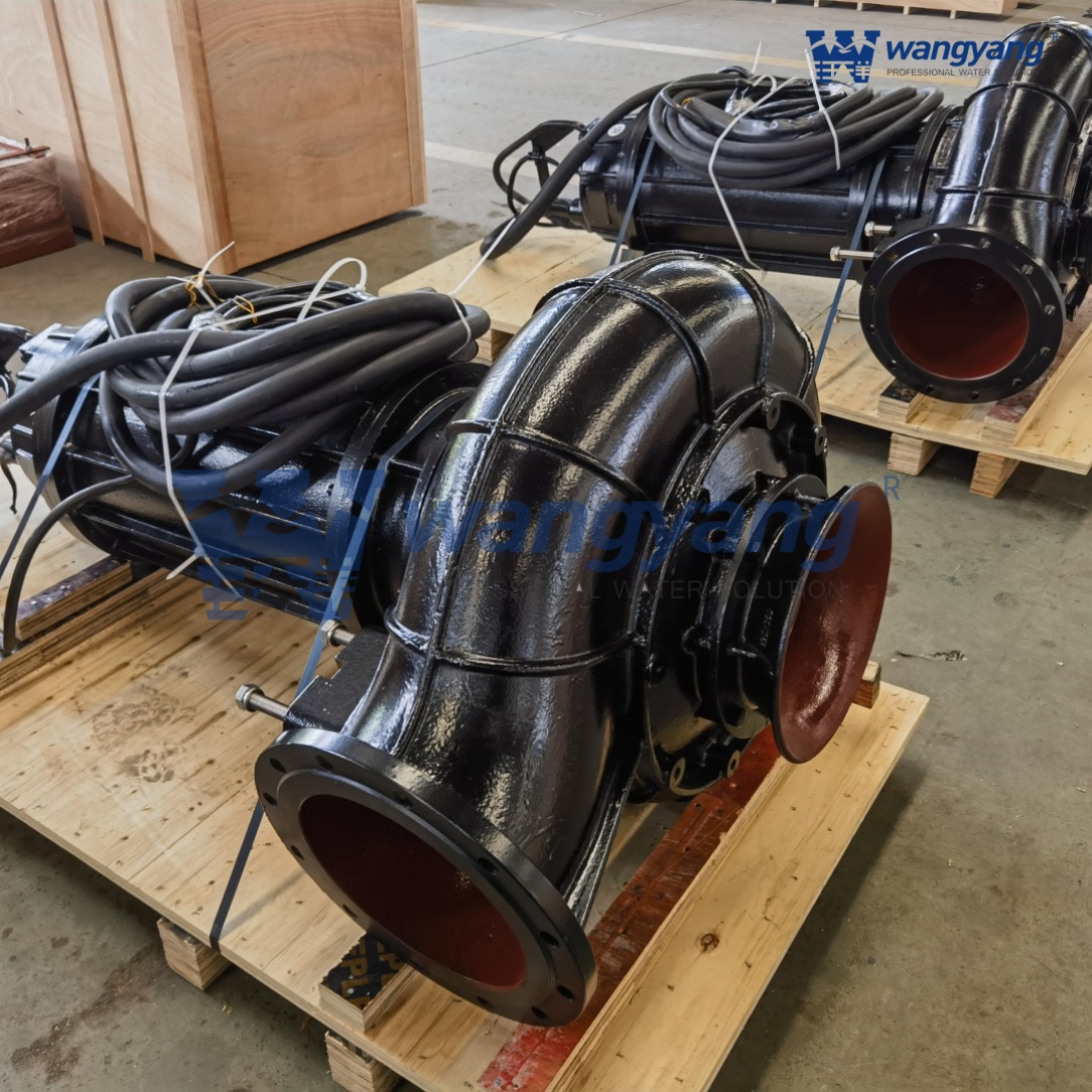 Submersible Sewage Pump