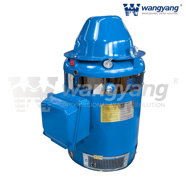 Vertical Hollow Shaft Motor (WP1_IP23)
