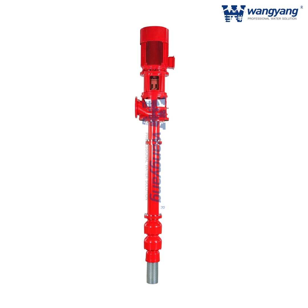Vertical Turbine Pump Driven by VSS Motor