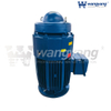 Vertical Hollow Shaft Motor (TEFC_IP54)