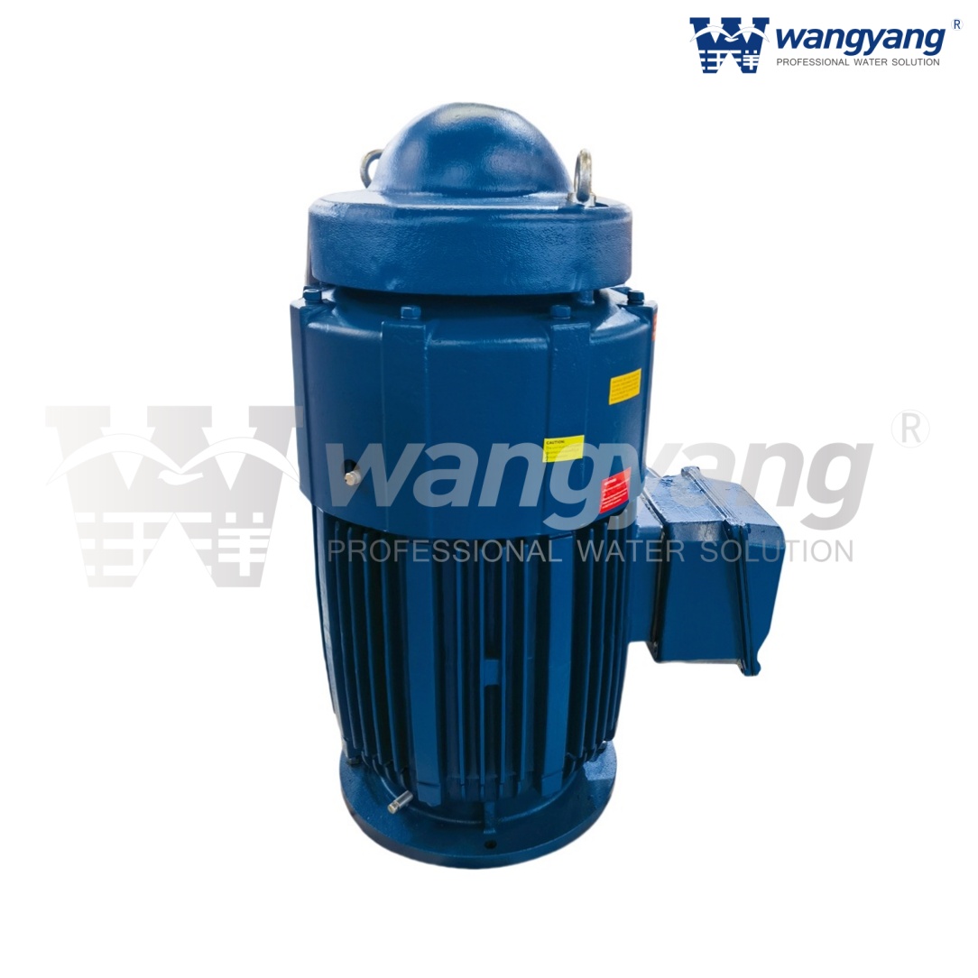 Vertical Hollow Shaft Motor (TEFC_IP54)