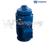 Vertical Hollow Shaft Motor (TEFC_IP54)