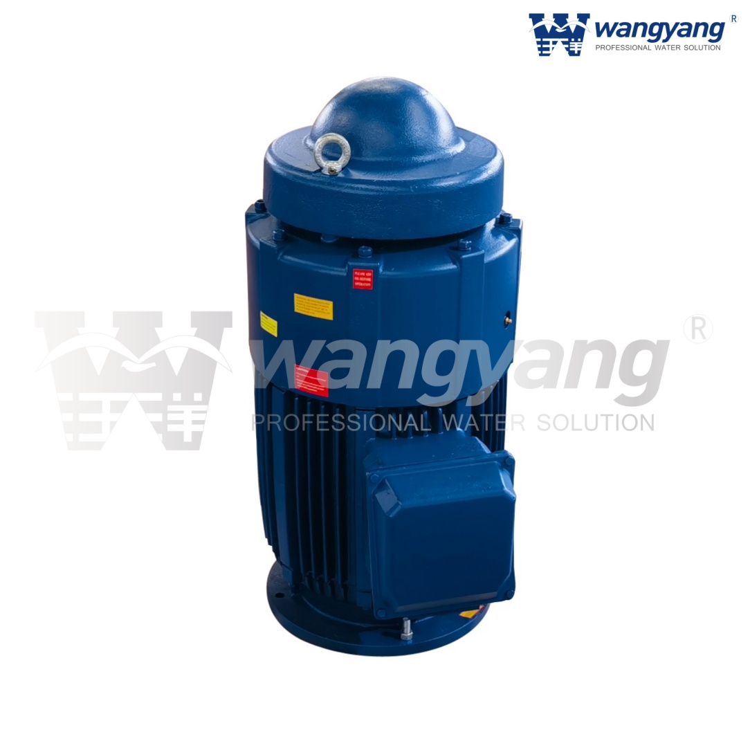 Vertical Hollow Shaft Motor (TEFC_IP54)
