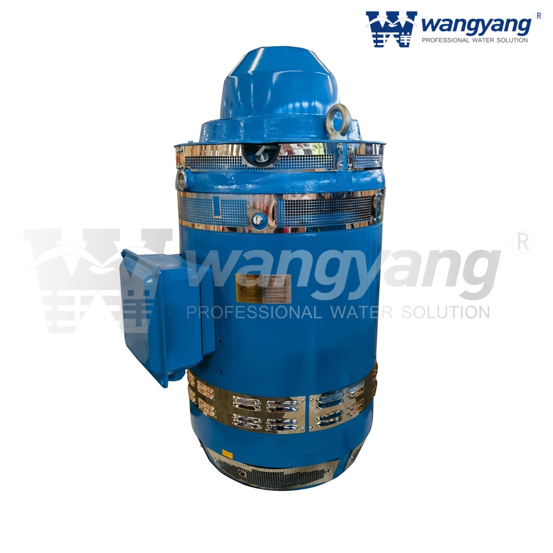 Vertical Hollow Shaft Motor (WP1_IP23)