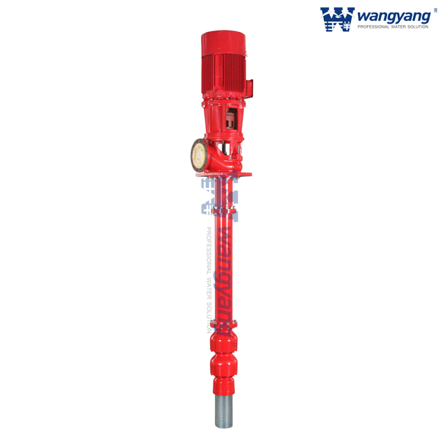 Vertical Turbine Pump Driven by VSS Motor