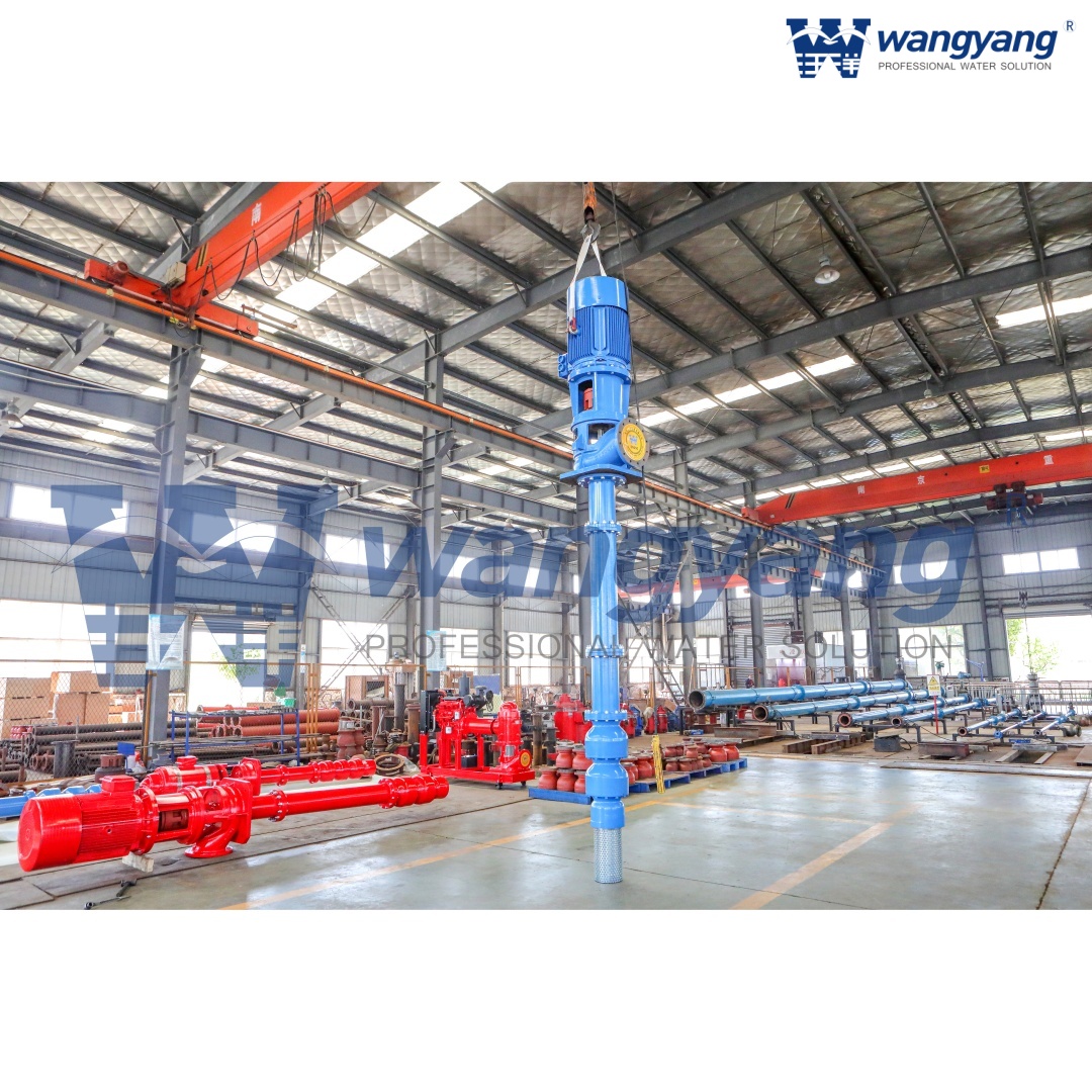 Vertical Turbine Pump with VSS Motor