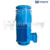 Vertical Hollow Shaft Motor (TEFC_IP54)