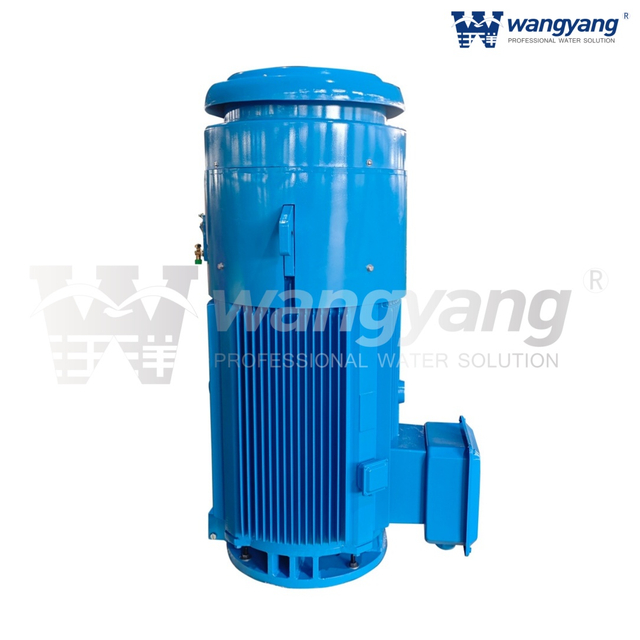 Vertical Hollow Shaft Motor (TEFC_IP54)