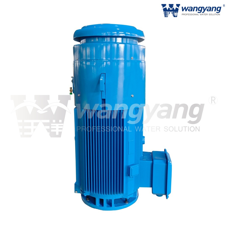 Vertical Hollow Shaft Motor (TEFC_IP54)
