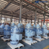 Vertical Hollow Shaft Motor (WP1_IP23)