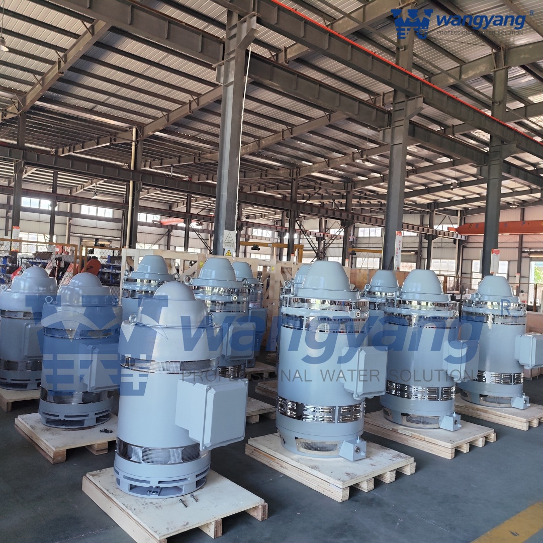 Vertical Hollow Shaft Motor (WP1_IP23)