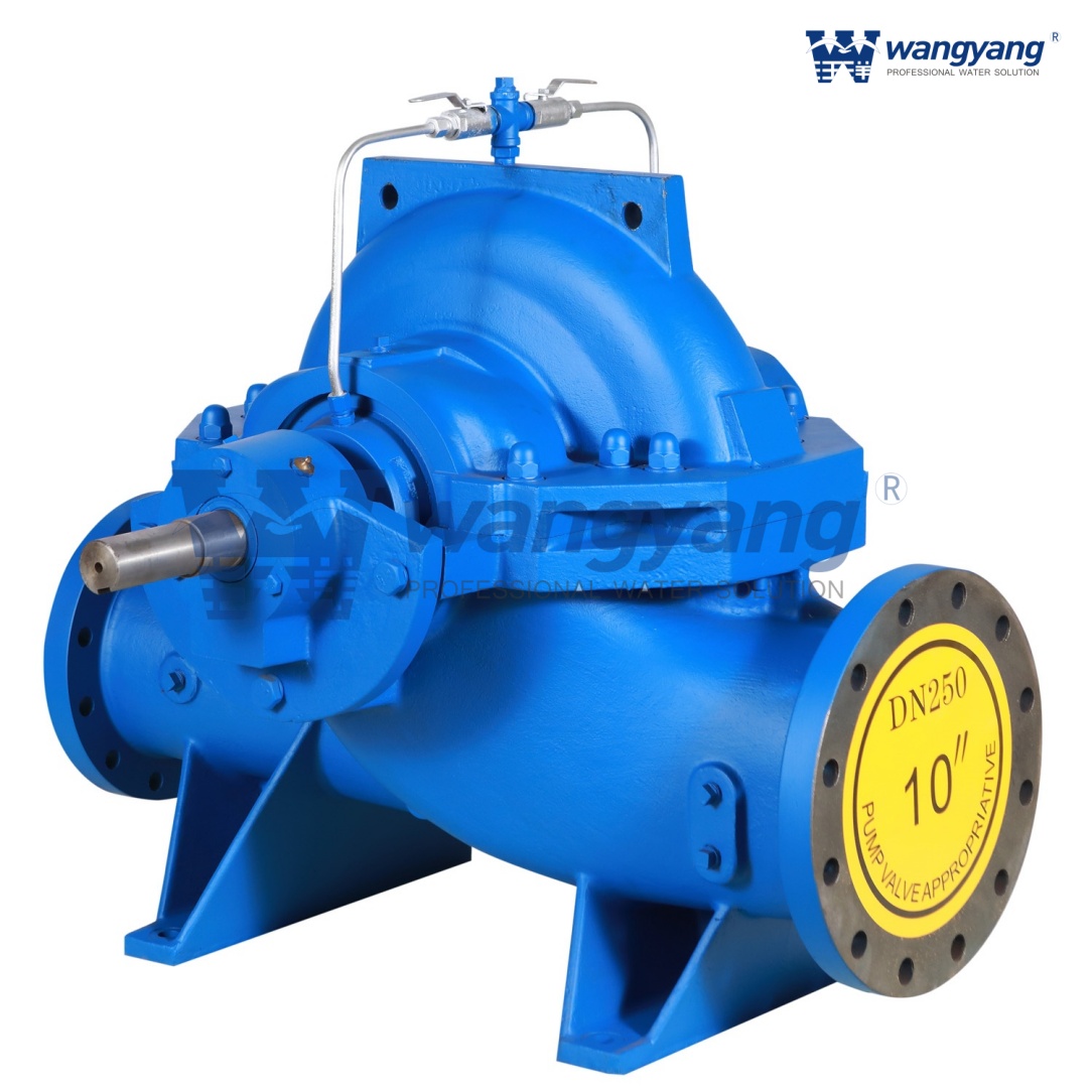 Split Case Pump