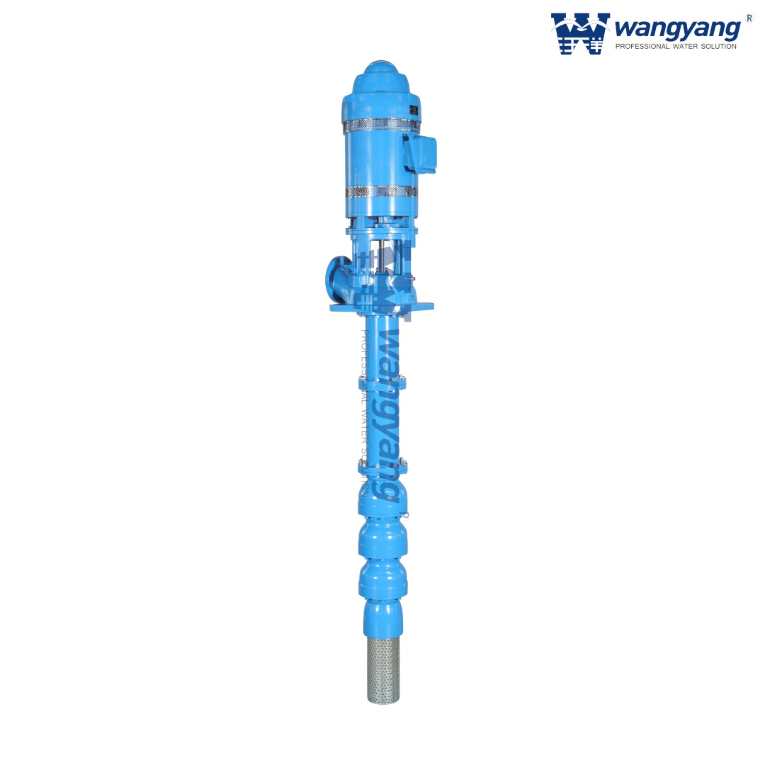 Deep Well Turbine Pump Application and Installation