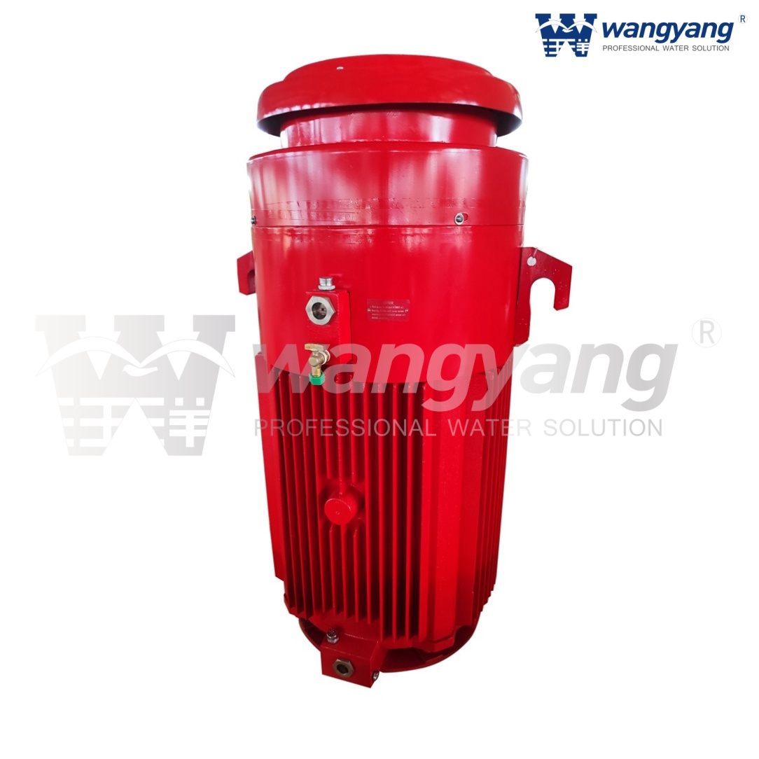 Vertical Hollow Shaft Motor (TEFC_IP54)