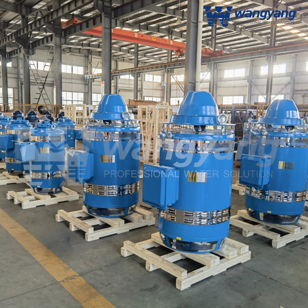 Vertical Hollow Shaft Motor (WP1_IP23)