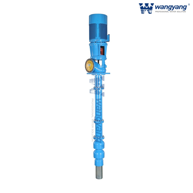 Vertical Turbine Pump with VSS Motor