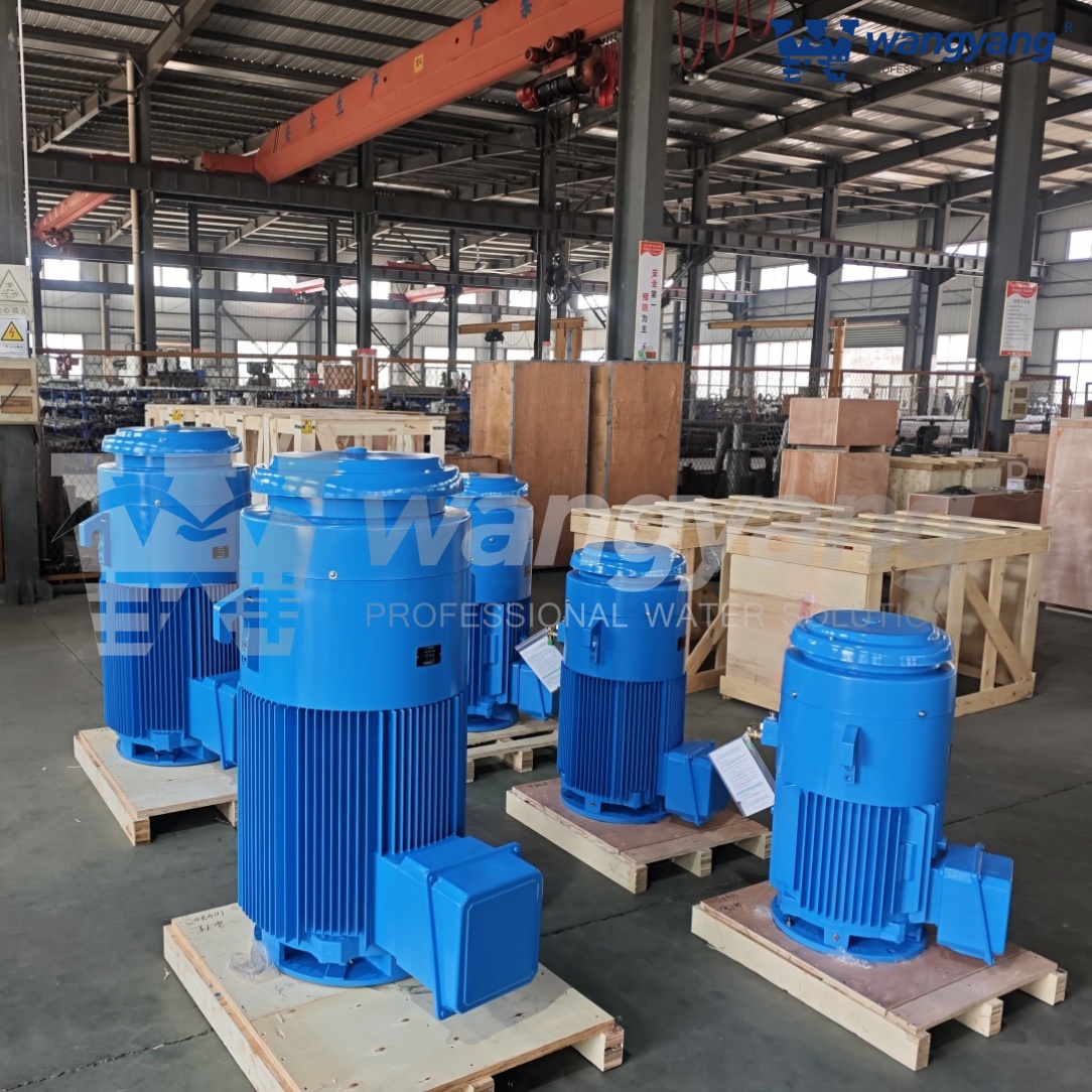 Vertical Hollow Shaft Motor (TEFC_IP54)