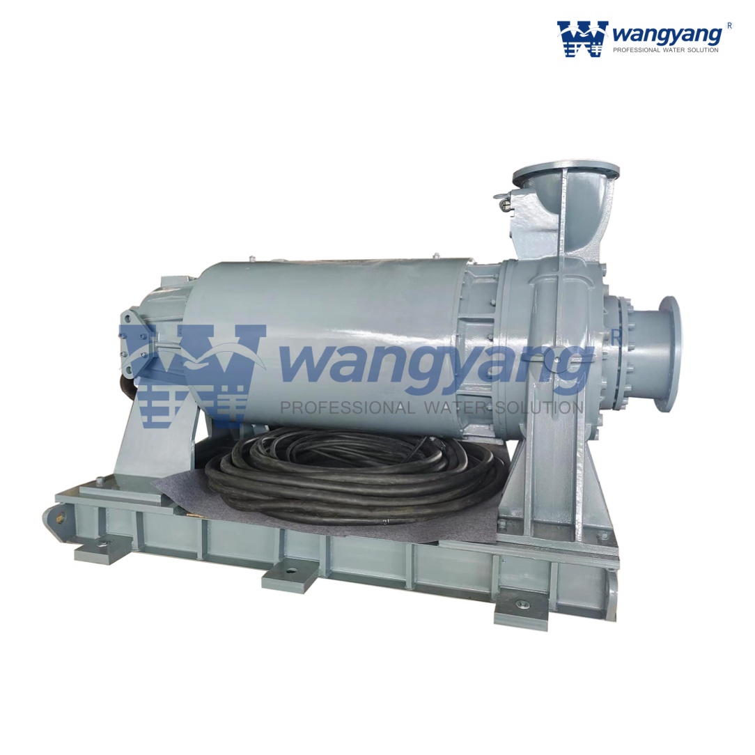 Submersible Sewage Pump