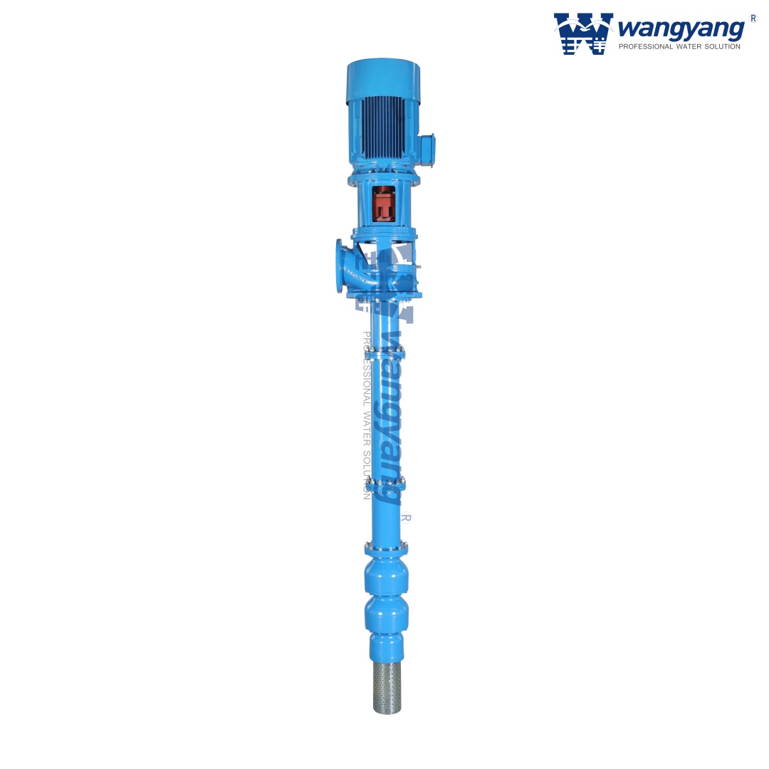 Vertical Turbine Pump with VSS Motor